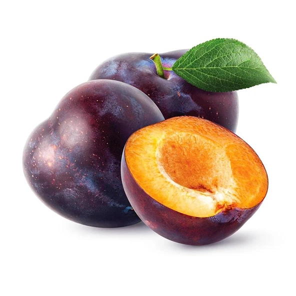 4 YAŞ TÜPLÜ ANEGLİNO(ANJELİKA) JAPON ERİĞİ FİDANI BOY 150-180CM ürün görseli 1