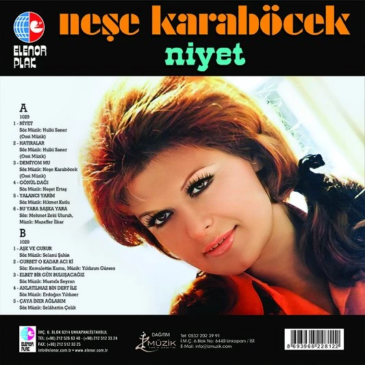 Neşe Karaböcek Niyet - Renkli Plak ürün görseli 1