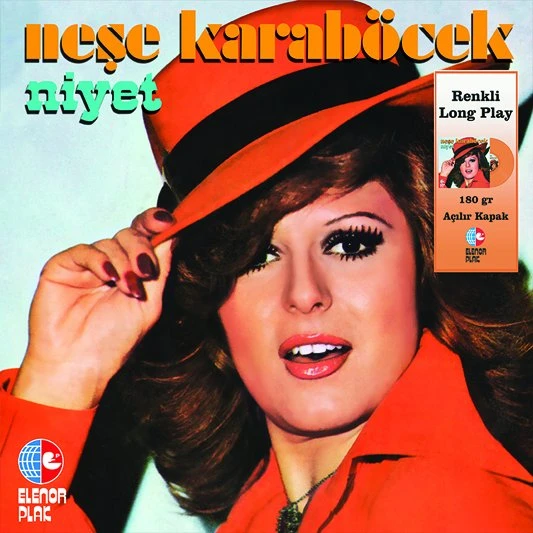 Neşe Karaböcek Niyet - Renkli Plak - Resim 2