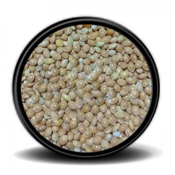 Sade Muhabbet Kuşu Yemi -Sarı Darı-25Kg ürün görseli 1