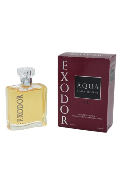 Vie Aqua Pour Homme Edp 100 ml ürün görseli 1