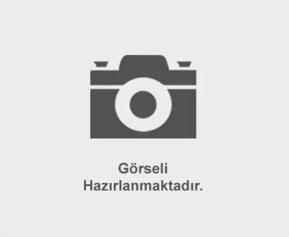 Fren Tablası Komple Starex 02-08 Minibüs / Arka Sol ürün görseli 1