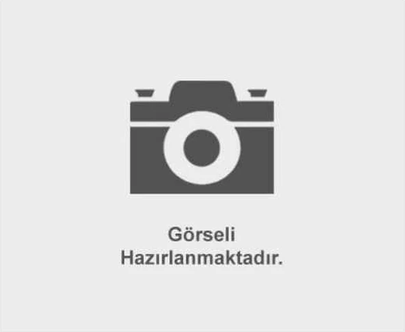 Fren Diski Megane Iıı 08-15 / Megane Iv 15 / Scenıc Iıı 09 Arka ürün görseli 1