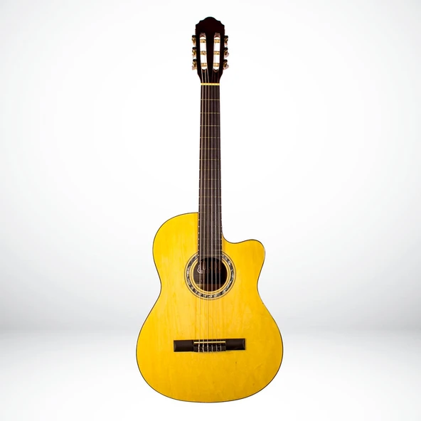 Toledo LC-3900CNL 4/4 Klasik Gitar (Natural)-OUTLET Minör Kozmetik Kusurlu (SIFIR ÜRÜN Ton ve Sap Dengesi Sorunsuz) ürün görseli 1