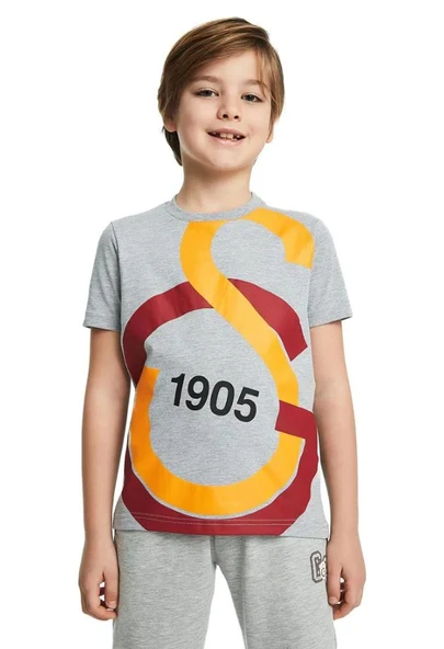 Galatasaray Büyük Logolu Çocuk Tee Gri T-shirt ürün görseli 1