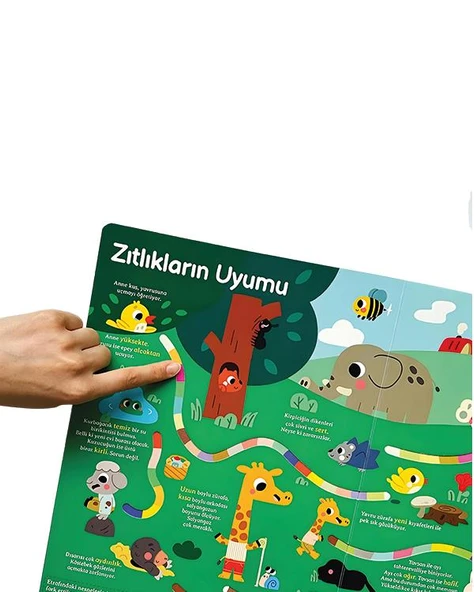 Genel Kültür Kitabım Tanıyorum - Resim 3