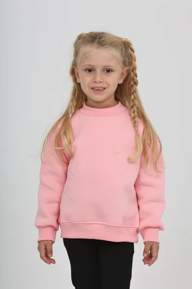 Toontoy Kız Çocuk Eva Fiyonk Nakışlı Sweatshirt ürün görseli 1
