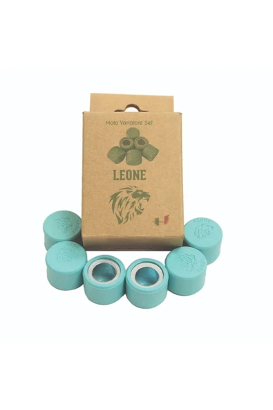 Leone TVS Ntorq 125 18 gr Performans Bagası - Resim 2