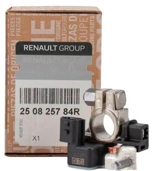Akü Gerilim Kaptörü (Kutup Başı) Renault Clio 4 Captur Trafic 3 250825784R MAİS ürün görseli 1