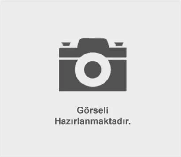 Fren Diski Daıly 06-11 Ön 290-5 ürün görseli 1
