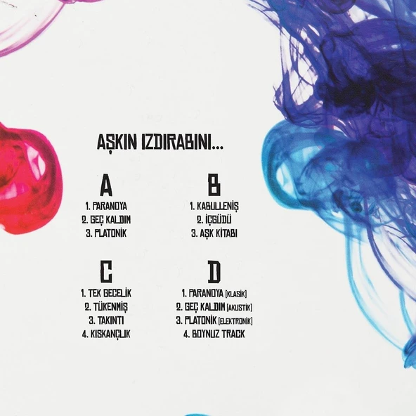 Hayko Cepkin Aşkın Izdırabı - 2 Plak - Resim 2