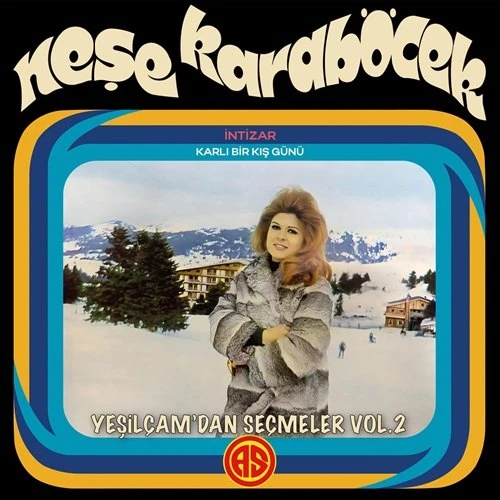 Neşe Karaböcek Yeşilçam'dan Seçmeler Vol.2 / İntizar - Plak ürün görseli 1