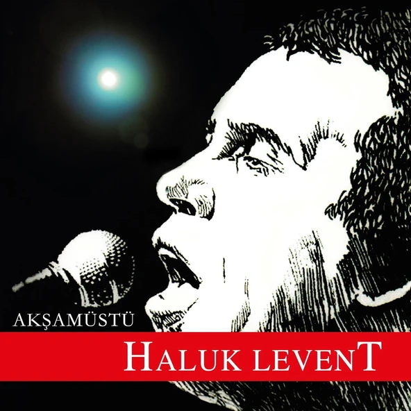 Haluk Levent Akşamüstü - Plak ürün görseli 1