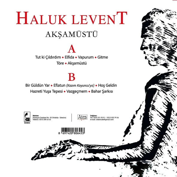 Haluk Levent Akşamüstü - Plak - Resim 2