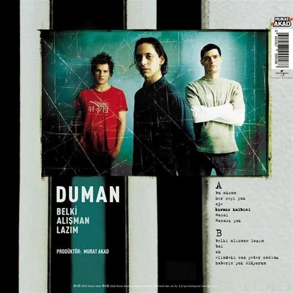 Duman Belki Alışman Lazım - Plak - Resim 2