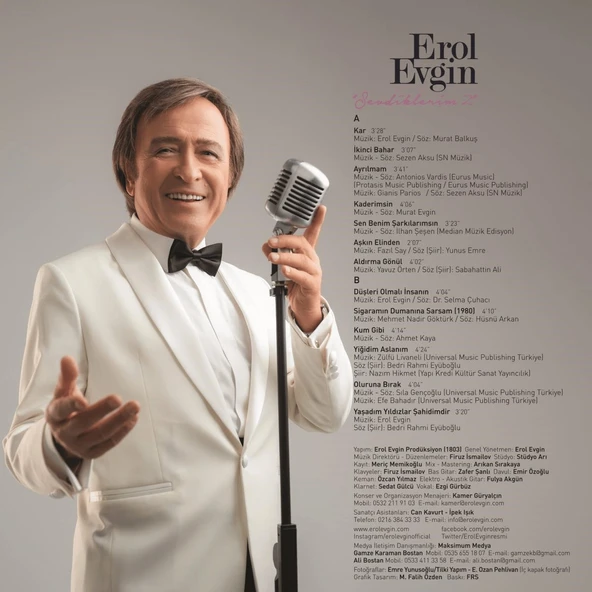 Erol Evgin Sevdiklerim 2 - Plak - Resim 2