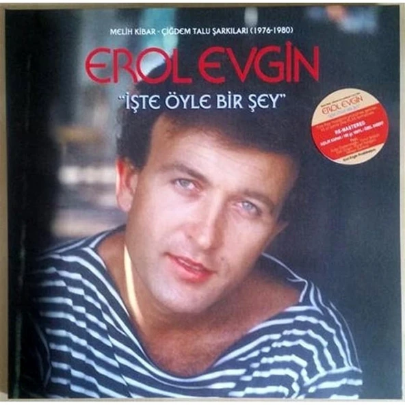 Erol Evgin Işte Öyle Bir Şey (Melih Kibar - Çiğdem Talu Şarkıları, 1976 - 1980) - Plak ürün görseli 1