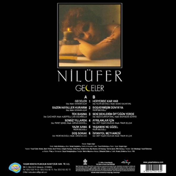 Nilüfer Geceler - Plak - Resim 2