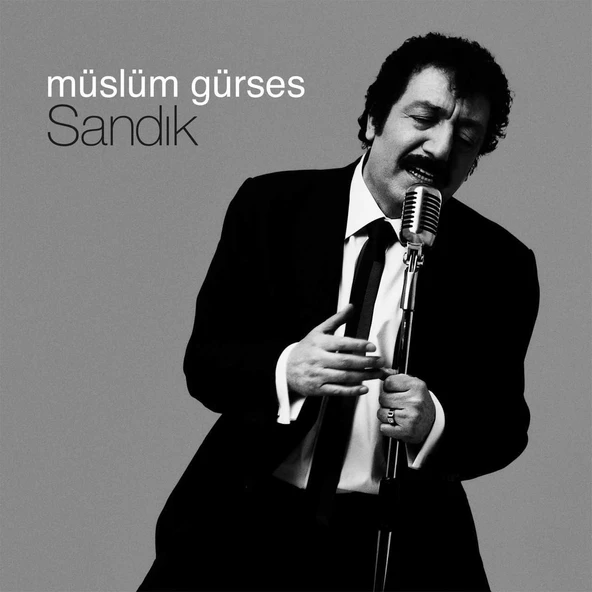 Müslüm Gürses Sandık - Plak ürün görseli 1