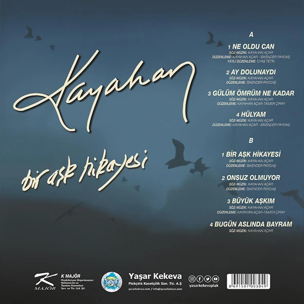 Kayahan Bir Aşk Hikayesi - Plak - Resim 2