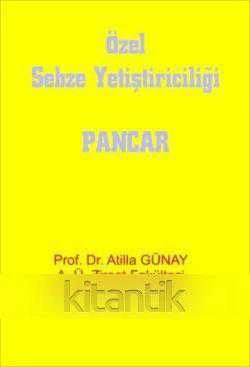 ÖZEL SEBZE (PANCAR) YETİŞTİRİCİLİĞİ ürün görseli 1