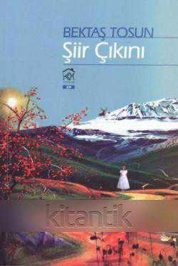 ŞİİR ÇIKINI ürün görseli 1