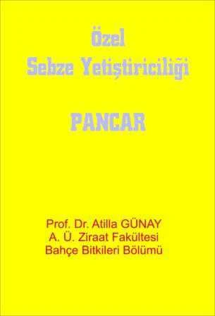 Özel Sebze (Pancar) Yetiştiriciliği ürün görseli 1
