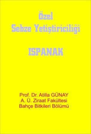 Özel Sebze (Ispanak) Yetiştiriciliği ürün görseli 1