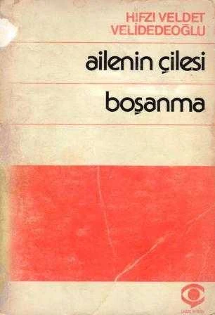 Ailenin Çilesi / Boşanma (1976 Yılı İlk Baskısı) ürün görseli 1