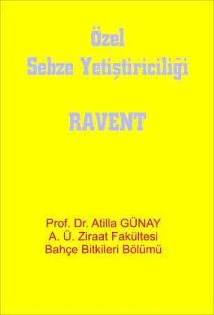 Özel Sebze (Ravent) Yetiştiriciliği ürün görseli 1