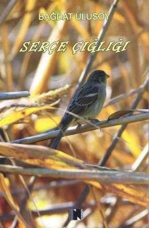 Serçe Çığlığı - 2019 Yılı İlk Baskısı ürün görseli 1