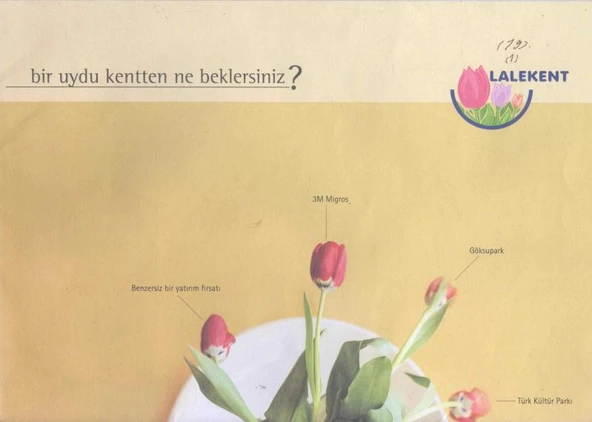 Bir Uydu Kentten Ne Beklersiniz? ürün görseli 1