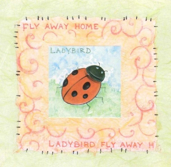 Carlton Cards / …Says it Best / Kartpostal No: 34 / 28490 / Ladybird Fly Away Home / 2 Katlı Kabartmalı ürün görseli 1