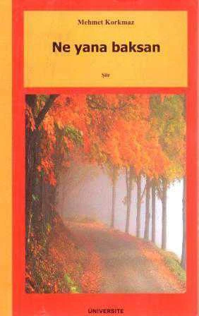 Ne Yana Baksan / 2005 Yılı İlk Baskısı ürün görseli 1