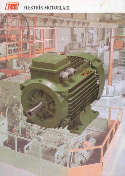 TEE Elektrik Motorları - Kuşe Kağıda, Renkli, Resimli, ilk Baskısı ürün görseli 1