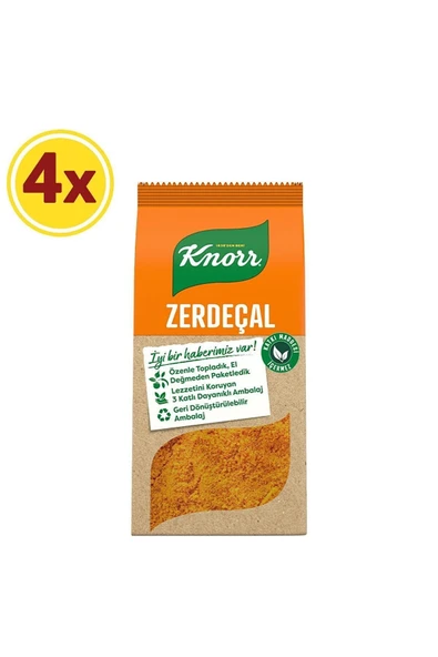 Knorr Baharat Serisi Toz Zerdeçal 60 gr X 4 Adet ürün görseli 1