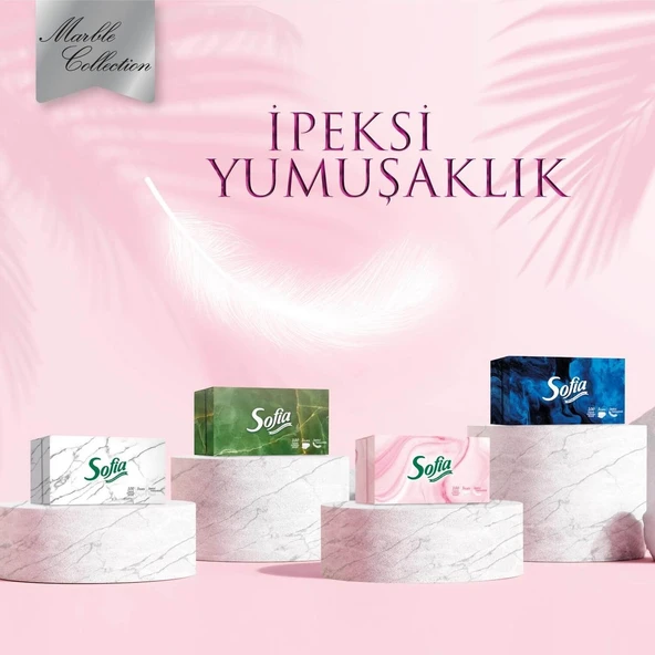 Sofia Kutu Mendil 100 Yaprak x 24 - Resim 3