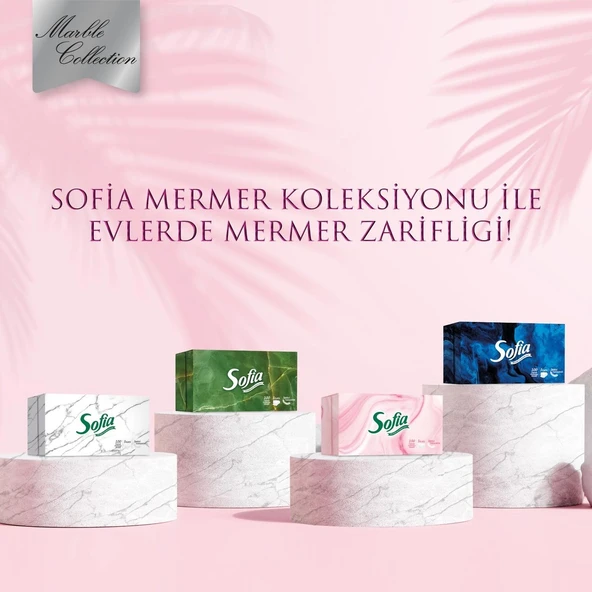 Sofia Kutu Mendil 100 Yaprak 4 Paket - Resim 2