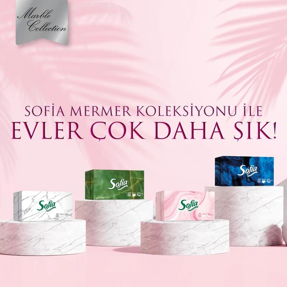 Sofia Kutu Mendil 100 Yaprak 24 Paket - Resim 5