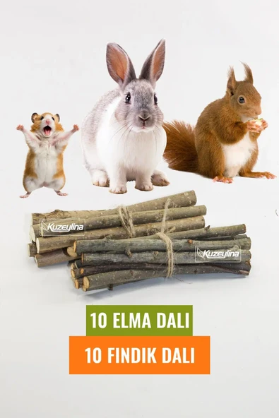 "Kemirgenler İçin Doğal Elma ve Fındık Dalı Seti - 10 Adet Fındık Dalı ve 10 Adet Elma Dalı" ürün görseli 1
