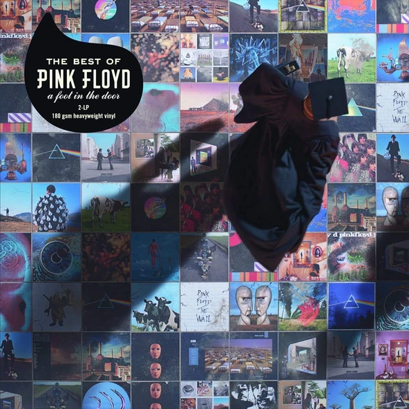Pink Floyd The Best Of Pink Floyd: A Foot In The Door - Plak ürün görseli 1