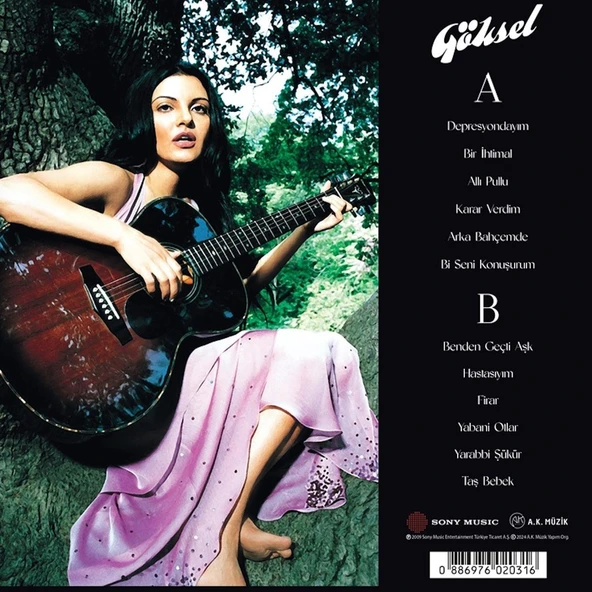 Göksel  2001 / 2007 En İyileri - Plak - Resim 2