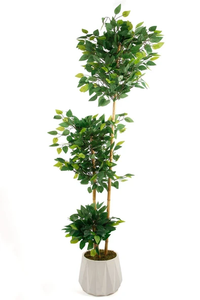 Beton Saksıda El Yapımı Bambu Gövdeli Yapay Benjamin Ağacı ürün görseli 1