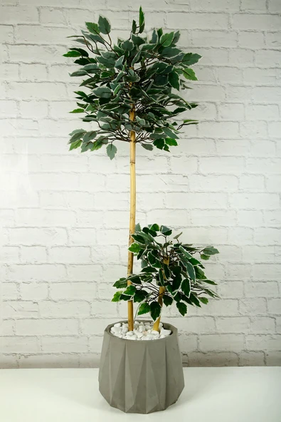 Yapay Çiçek Dekoratif Beton Saksıda Starlight Benjamin Ağacı Bambu Gövdeli Salon Ev Bitki 105 Cm ürün görseli 1