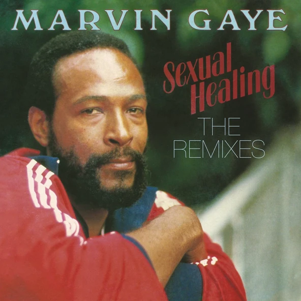 Marvin Gaye Sexual Healing: The Remixes - Plak ürün görseli 1