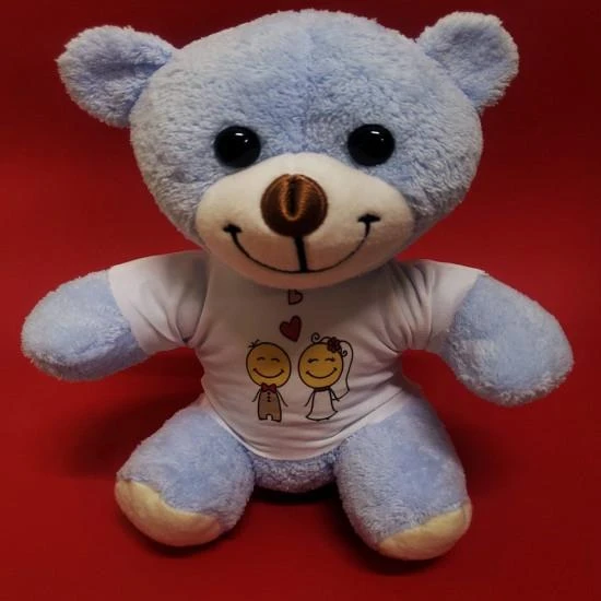 Mutlu Çift Tişörtlü Peluş Ayı ürün görseli 1