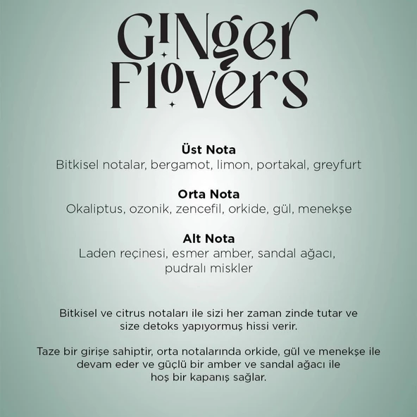 Carpex Micro Basic Siyah Koku Makinesi + 50 ml Ginger Flowers Kartuş - Resim 2