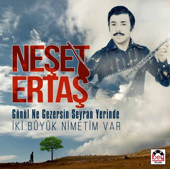 Neşet Ertaş Gönül Ne Gezersin Seyran Yerinde/ Iki Büyük Nimetim Var - Plak ürün görseli 1