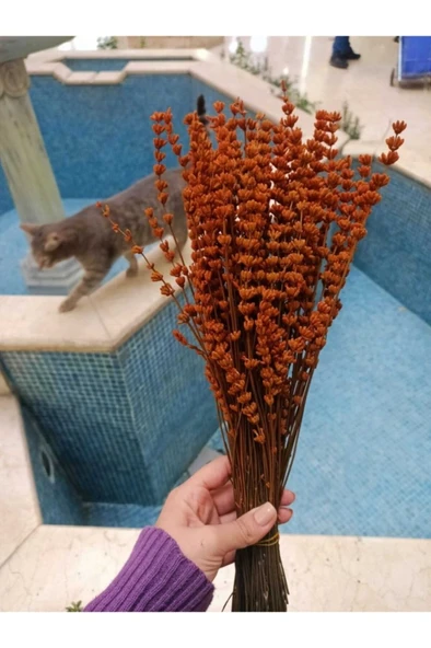 Şoklanmış Lavanta Demeti 100 Gram. - Resim 2