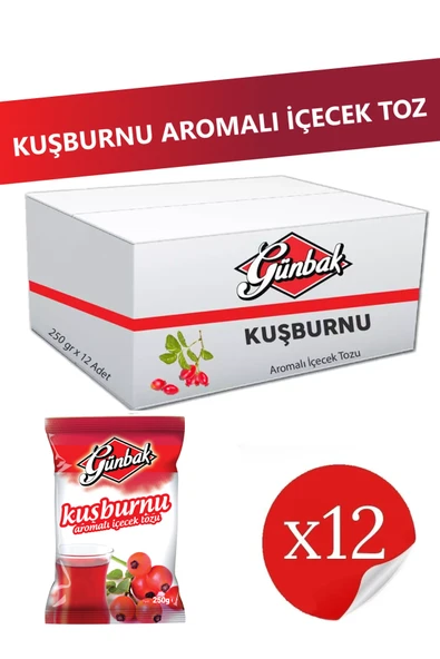 Günbak Kuşburnu Aromalı İçecek Tozu 250 gr x 12 Adet ürün görseli 1